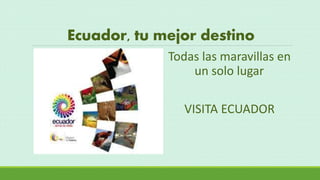 Ecuador, tu mejor destino
Todas las maravillas en
un solo lugar
VISITA ECUADOR
 