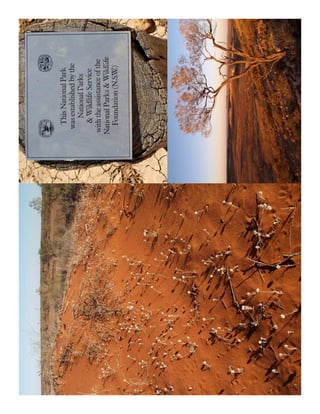 Foundation achievements
 