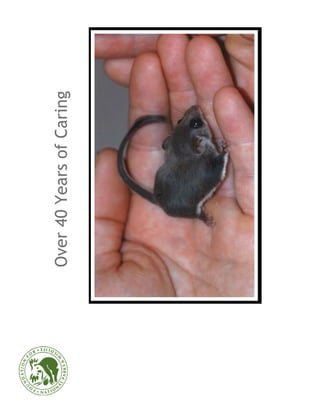 Over 40 Years of Caring
 