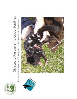 Strategic Partnership Opportunities
Ecotourism & Wildlife Conservation – Eastern Quoll, Tasmania
 