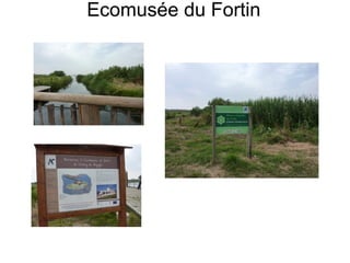Ecomusée du Fortin