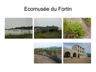 Ecomusée du Fortin