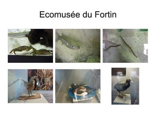 Ecomusée du Fortin
