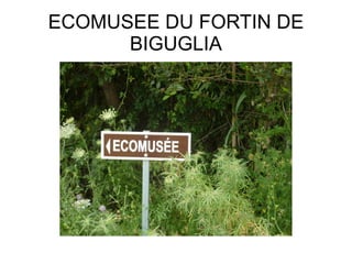 ECOMUSEE DU FORTIN DE
      BIGUGLIA
 
