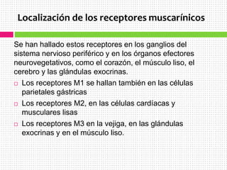 Localización de los receptores muscarínicos
Se han hallado estos receptores en los ganglios del
sistema nervioso periférico y en los órganos efectores
neurovegetativos, como el corazón, el músculo liso, el
cerebro y las glándulas exocrinas.
 Los receptores M1 se hallan también en las células
parietales gástricas
 Los receptores M2, en las células cardíacas y
musculares lisas
 Los receptores M3 en la vejiga, en las glándulas
exocrinas y en el músculo liso.
 