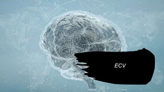 ECV
 