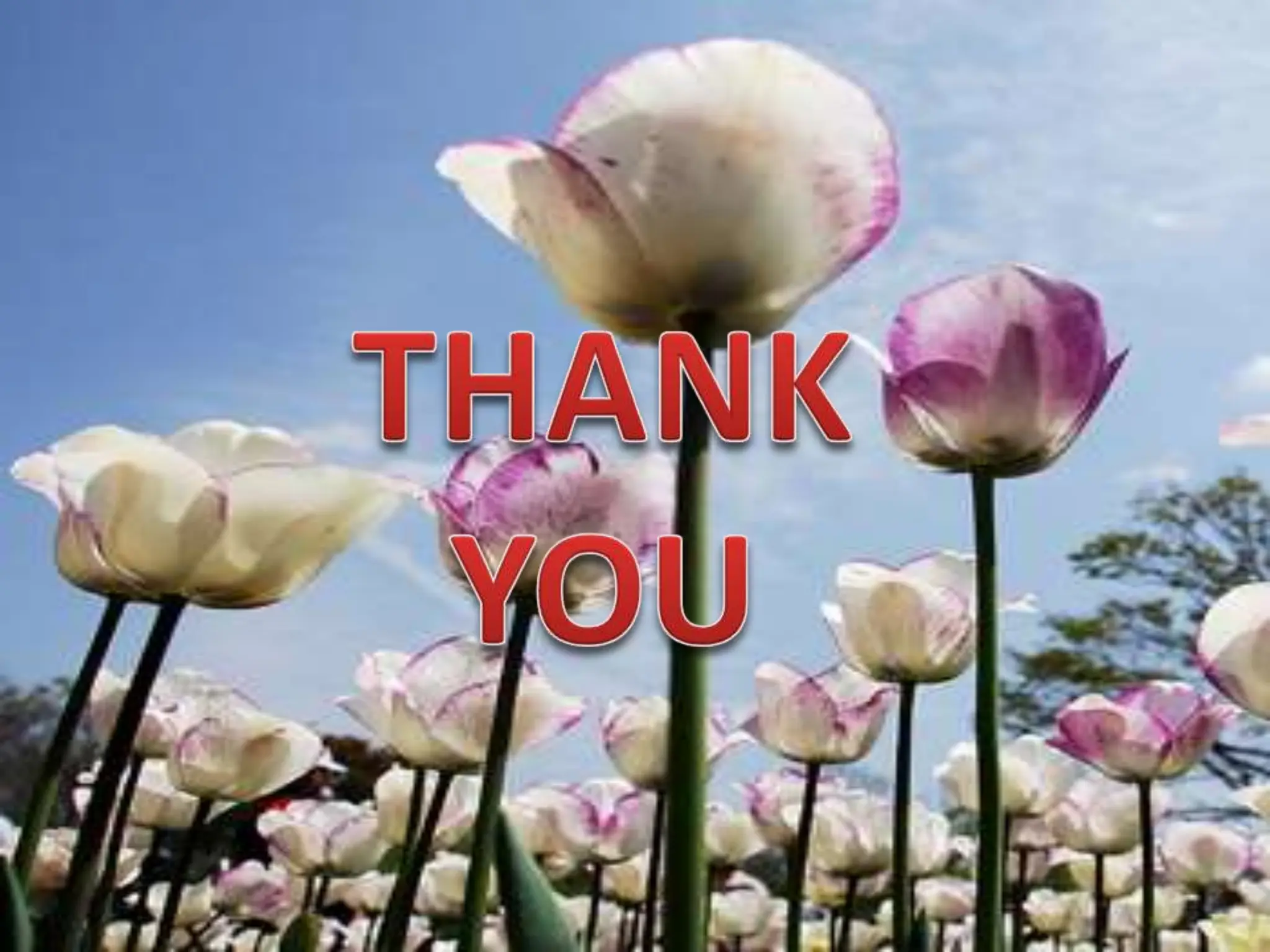 External cephalic version Malpresentation.pptx