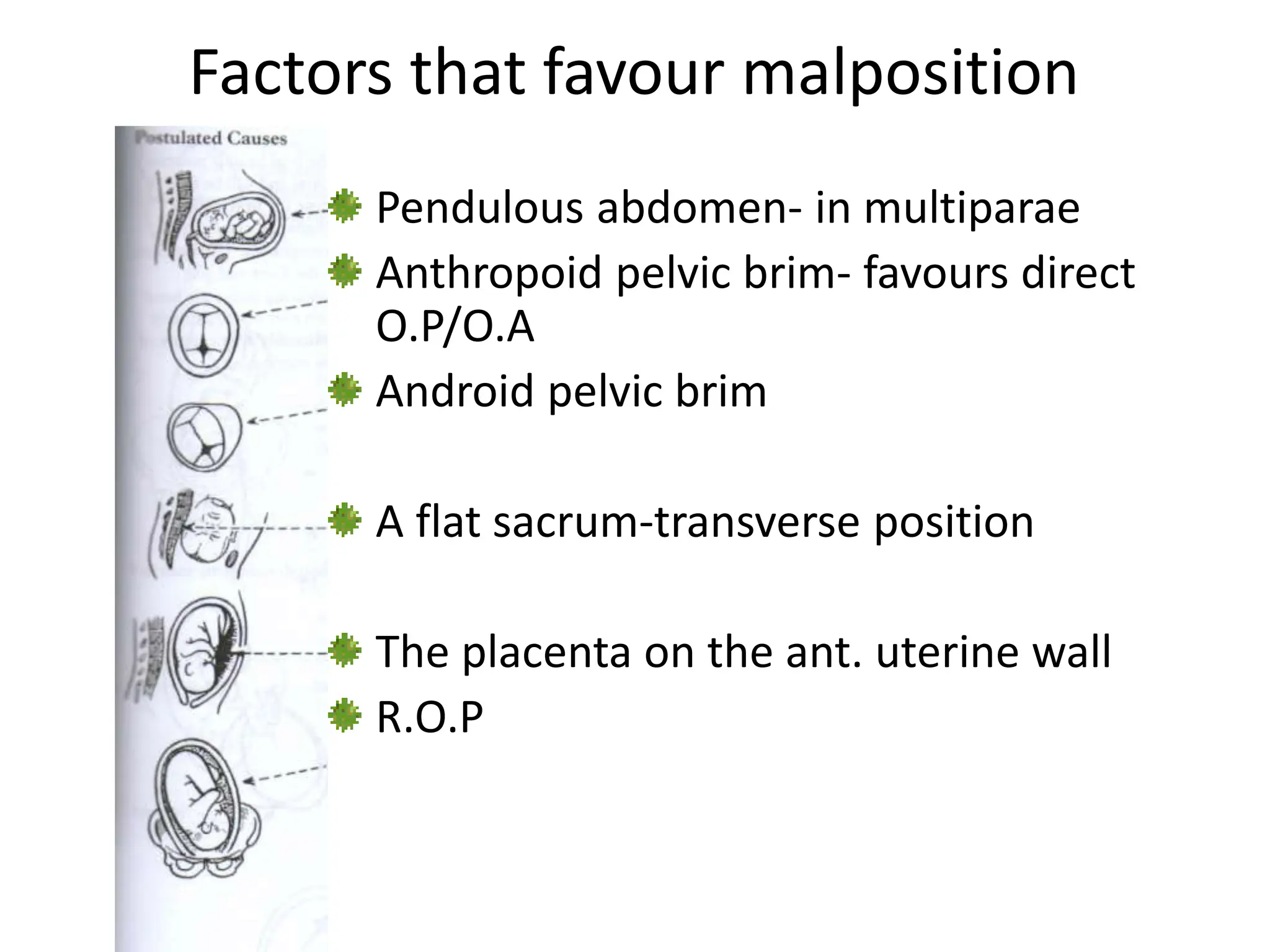 Factors that favour malposition
Pendulous abdomen- in multiparae
Anthropoid pelvic brim- favours direct
O.P/O.A
Android pelvic brim
A flat sacrum-transverse position
The placenta on the ant. uterine wall
R.O.P
 