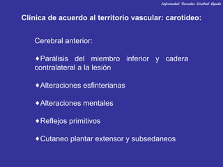 Clínica de acuerdo al territorio vascular: carotídeo: Cerebral anterior: Parálisis del miembro inferior y cadera contralateral a la lesión Alteraciones esfinterianas Alteraciones mentales Reflejos primitivos Cutaneo plantar extensor y subsedaneos Enfermedad  Vascular  Cerebral  Aguda 