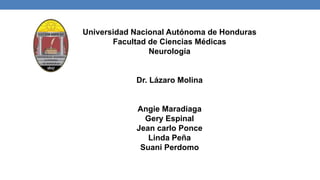 Universidad Nacional Autónoma de Honduras
Facultad de Ciencias Médicas
Neurología
Dr. Lázaro Molina
Angie Maradiaga
Gery Espinal
Jean carlo Ponce
Linda Peña
Suani Perdomo
 