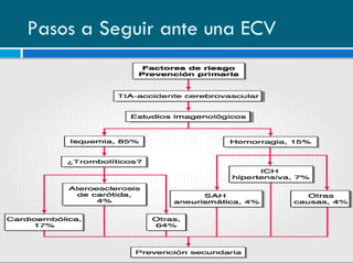 Pasos a Seguir ante una ECV 