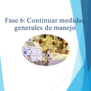 Fase 6: Continuar medidas
generales de manejo
 
