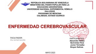 Human Brain
Presentation
REPÚBLICA BOLIVARIANA DE VENEZUELA
MINISTERIO DEL PODER POPULAR PARA LA
EDUCACIÓN UNIVERSITARIA
UNIVERSIDAD NACIONAL EXPERIMENTAL RÓMULO
GALLEGOS
PROGRAMA DE MEDICINA
CALABOZO, ESTADO GUÁRICO
FACILITADOR:
Dra. Carmen Carreño
MAYO 2023
PARTICIPANTES:
Alexandra Valdez
Quinverlyn Ruiz
Junior Torrealba
Brayan Salinas
 