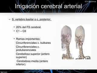 ECV Isquemica


     Irrigación cerebral arterial

– S. vertebro basilar o c. posterior:

    • 20% del FS cerebral.
    • C1 – C6

    • Ramas importantes:
      Circunferenciales c. bulbares
      Circunferenciales c.
      protuberenciales
      Cerebelosa superior (antero
      superior)
       Cerebelosa media (antero
      inferior).
 
