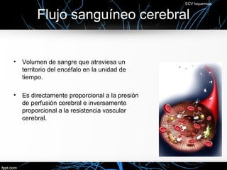 ECV Isquemica


         Flujo sanguíneo cerebral


•   Volumen de sangre que atraviesa un
    territorio del encéfalo en la unidad de
    tiempo.

•   Es directamente proporcional a la presión
    de perfusión cerebral e inversamente
    proporcional a la resistencia vascular
    cerebral.
 