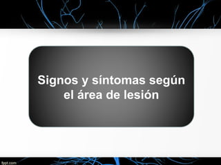 Signos y síntomas según
    el área de lesión
 