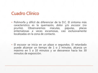 Cuadro Clínico 
▪ Polimorfa y difícil de diferenciar de la D.C. El síntoma más 
característico es la quemazón, dolor y/o escozor (no 
prurito). Observaremos máculas, pápulas, placas 
eritematosas a veces escamosas, casi exclusivamente 
localizadas en la zona de contacto. 
▪ El escozor se inicia en un plazo e segundos. El retardado 
puede alcanzar un tiempo de 1 o 2 minutos, alcanza un 
máximo en 5 a 10 minutos y se desvanece hacia los 30 
minutos de exposición. 
 