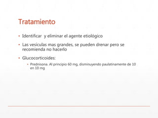 Tratamiento 
▪ Identificar y eliminar el agente etiológico 
▪ Las vesículas mas grandes, se pueden drenar pero se 
recomienda no hacerlo 
▪ Glucocorticoides: 
▪ Prednisona. Al principio 60 mg, disminuyendo paulatinamente de 10 
en 10 mg 
 