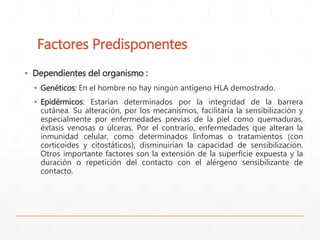 Factores Predisponentes 
▪ Dependientes del organismo : 
▪ Genéticos: En el hombre no hay ningún antígeno HLA demostrado. 
▪ Epidérmicos: Estarían determinados por la integridad de la barrera 
cutánea. Su alteración, por los mecanismos, facilitaría la sensibilización y 
especialmente por enfermedades previas de la piel como quemaduras, 
éxtasis venosas o úlceras. Por el contrario, enfermedades que alteran la 
inmunidad celular, como determinados linfomas o tratamientos (con 
corticoides y citostáticos), disminuirían la capacidad de sensibilización. 
Otros importante factores son la extensión de la superficie expuesta y la 
duración o repetición del contacto con el alérgeno sensibilizante de 
contacto. 
 