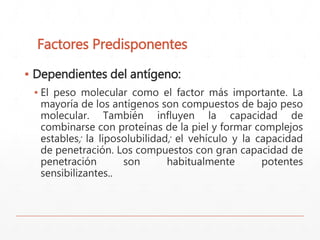 Factores Predisponentes 
▪ Dependientes del antígeno: 
▪ El peso molecular como el factor más importante. La 
mayoría de los antígenos son compuestos de bajo peso 
molecular. También influyen la capacidad de 
combinarse con proteínas de la piel y formar complejos 
estables; la liposolubilidad; el vehículo y la capacidad 
de penetración. Los compuestos con gran capacidad de 
penetración son habitualmente potentes 
sensibilizantes.. 
 