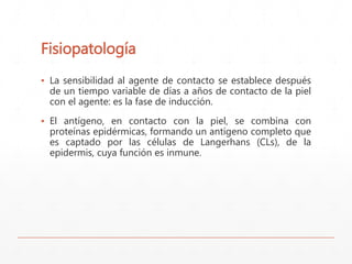 Fisiopatología 
▪ La sensibilidad al agente de contacto se establece después 
de un tiempo variable de días a años de contacto de la piel 
con el agente: es la fase de inducción. 
▪ El antígeno, en contacto con la piel, se combina con 
proteínas epidérmicas, formando un antígeno completo que 
es captado por las células de Langerhans (CLs), de la 
epidermis, cuya función es inmune. 
 