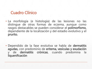 Cuadro Clínico 
▪ La morfología (e histología) de las lesiones no las 
distingue de otras formas de eczema, aunque como 
rasgos destacables se pueden considerar el polimorfismo, 
dependiente de la localización y del estadio evolutivo y el 
prurito. 
▪ Dependido de la fase evolutiva se habla de dermatitis 
agudas, con predominio de eritema, vesículas y exudación 
y de dermatitis crónicas, cuando predomina la 
liquenificación 
 