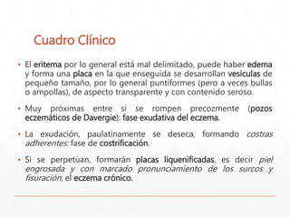 Cuadro Clínico 
▪ El eritema por lo general está mal delimitado, puede haber edema 
y forma una placa en la que enseguida se desarrollan vesículas de 
pequeño tamaño, por lo general puntiformes (pero a veces bullas 
o ampollas), de aspecto transparente y con contenido seroso. 
▪ Muy próximas entre sí se rompen precozmente (pozos 
eczemáticos de Davergie): fase exudativa del eczema. 
▪ La exudación, paulatinamente se deseca, formando costras 
adherentes: fase de costrificación. 
▪ Si se perpetúan, formarán placas liquenificadas, es decir piel 
engrosada y con marcado pronunciamiento de los surcos y 
fisuracíón, el eczema crónico. 
 