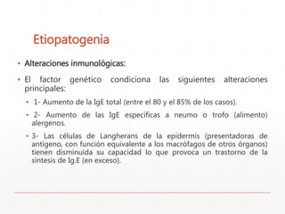 Etiopatogenia 
▪ Alteraciones inmunológicas: 
▪ El factor genético condiciona las siguientes alteraciones 
principales: 
▪ 1- Aumento de la IgE total (entre el 80 y el 85% de los casos). 
▪ 2- Aumento de las IgE específicas a neumo o trofo (alimento) 
alergenos. 
▪ 3- Las células de Langherans de la epidermis (presentadoras de 
antígeno, con función equivalente a los macrófagos de otros órganos) 
tienen disminuida su capacidad lo que provoca un trastorno de la 
síntesis de Ig.E (en exceso). 
 