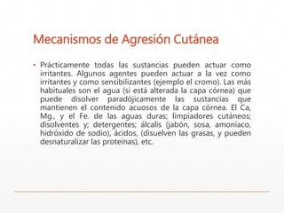 Mecanismos de Agresión Cutánea 
▪ Prácticamente todas las sustancias pueden actuar como 
irritantes. Algunos agentes pueden actuar a la vez como 
irritantes y como sensibilizantes (ejemplo el cromo). Las más 
habituales son el agua (si está alterada la capa córnea) que 
puede disolver paradójicamente las sustancias que 
mantienen el contenido acuosos de la capa córnea. El Ca, 
Mg., y el Fe. de las aguas duras; limpiadores cutáneos; 
disolventes y; detergentes; álcalis (jabón, sosa, amoníaco, 
hidróxido de sodio), ácidos, (disuelven las grasas, y pueden 
desnaturalizar las proteínas), etc. 
 