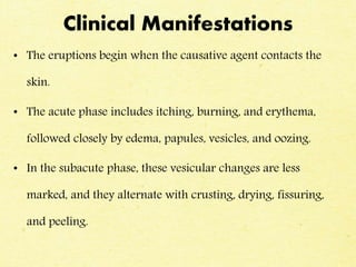 Clinical Manifestations
• The eruptions begin when the causative agent contacts the
skin.
• The acute phase includes itching, burning, and erythema,
followed closely by edema, papules, vesicles, and oozing.
• In the subacute phase, these vesicular changes are less
marked, and they alternate with crusting, drying, fissuring,
and peeling.
 