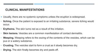CLINICAL MANIFESTATIONS
 Usually, there are no systemic symptoms unless the eruption is widespread.
• Itching. Once the patient is exposed to an irritating substance, severe itching would
occur.
• Erythema. The skin turns red as a result of the irritation.
• Skin lesions. Vesicles are a common manifestation of contact dermatitis.
• Weeping. Weeping refers to the oozing of the contents of the vesicles, which can be
pus or a watery substance.
• Crusting. The vesicles start to form a crust as it slowly becomes dry.
• Drying. The skin finally becomes dry and peels off.
 