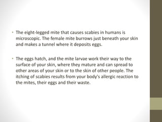 • The eight-legged mite that causes scabies in humans is
microscopic. The female mite burrows just beneath your skin
and makes a tunnel where it deposits eggs.
• The eggs hatch, and the mite larvae work their way to the
surface of your skin, where they mature and can spread to
other areas of your skin or to the skin of other people. The
itching of scabies results from your body's allergic reaction to
the mites, their eggs and their waste.
 