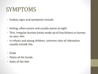 SYMPTOMS
• Scabies signs and symptoms include:
• Itching, often severe and usually worse at night
• Thin, irregular burrow tracks made up of tiny blisters or bumps
on your skin
• In infants and young children, common sites of infestation
usually include the:
• Scalp
• Palms of the hands
• Soles of the feet
 