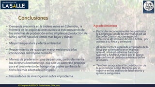 Conclusiones
▪ Demanda creciente en la cadena ovina en Colombia , la
frontera de las explotaciones ovinas se esta moviendo de
los sistemas de producción en los altiplanos (producción de
lana y carne) hacia las tierras mas bajas y planas
▪ Mayor temperatura y oferta ambiental
▪ Requerimiento de razas con mayor resistencia a las
condiciones del trópico húmedo
▪ Manejo de praderas y tipos de pasturas, particularmente
los diversos Brachiaria spp. que son un substrato propicio
para el crecimiento del hongo y las cuales son hasta la
fecha las más adaptadas en el país.
▪ Necesidades de investigación sobre el problema.
Agradecimientos
▪ Particular reconocimiento de gratitud a
la Congregación de los Hermanos de las
Escuelas Cristianas, con especial
referencia al Hermano Ariosto Ardila , por
acceso a su finca y animales
▪ Al señorVíctor Castañeda empleado de la
finca por su empeño en el manejo
animal, a los estudiantes Santiago
Galindo y Andrés Orozco por el apoyo
prestado en el cuidado y manejo de los
animales.
▪ También se agradece la contribución de
la profesional Leslie Moreno, por el
soporte en los análisis de laboratorio y
química sanguínea.
Xº Congreso ALEPRyCS. PuntaArenas, Chile, 2017
 