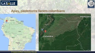 Apiay, piedemonte llanero colombiano
Xº Congreso ALEPRyCS. PuntaArenas, Chile, 2017
 