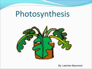 Photosynthesis
By: Latorrian Beaumont
 
