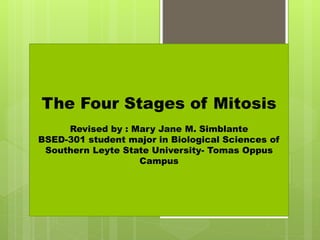 The Four Stages of Mitosis
Revised by : Mary Jane M. Simblante
BSED-301 student major in Biological Sciences of
Southern Leyte State University- Tomas Oppus
Campus
 
