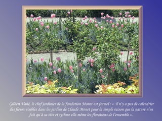 Gilbert Vahé, le chef jardinier de la fondation Monet est formel : «  il n’y a pas de calendrier
des fleurs visibles dans les jardins de Claude Monet pour la simple raison que la nature n’en
fait qu’à sa tête et rythme elle-même les floraisons de l’ensemble ».
 
