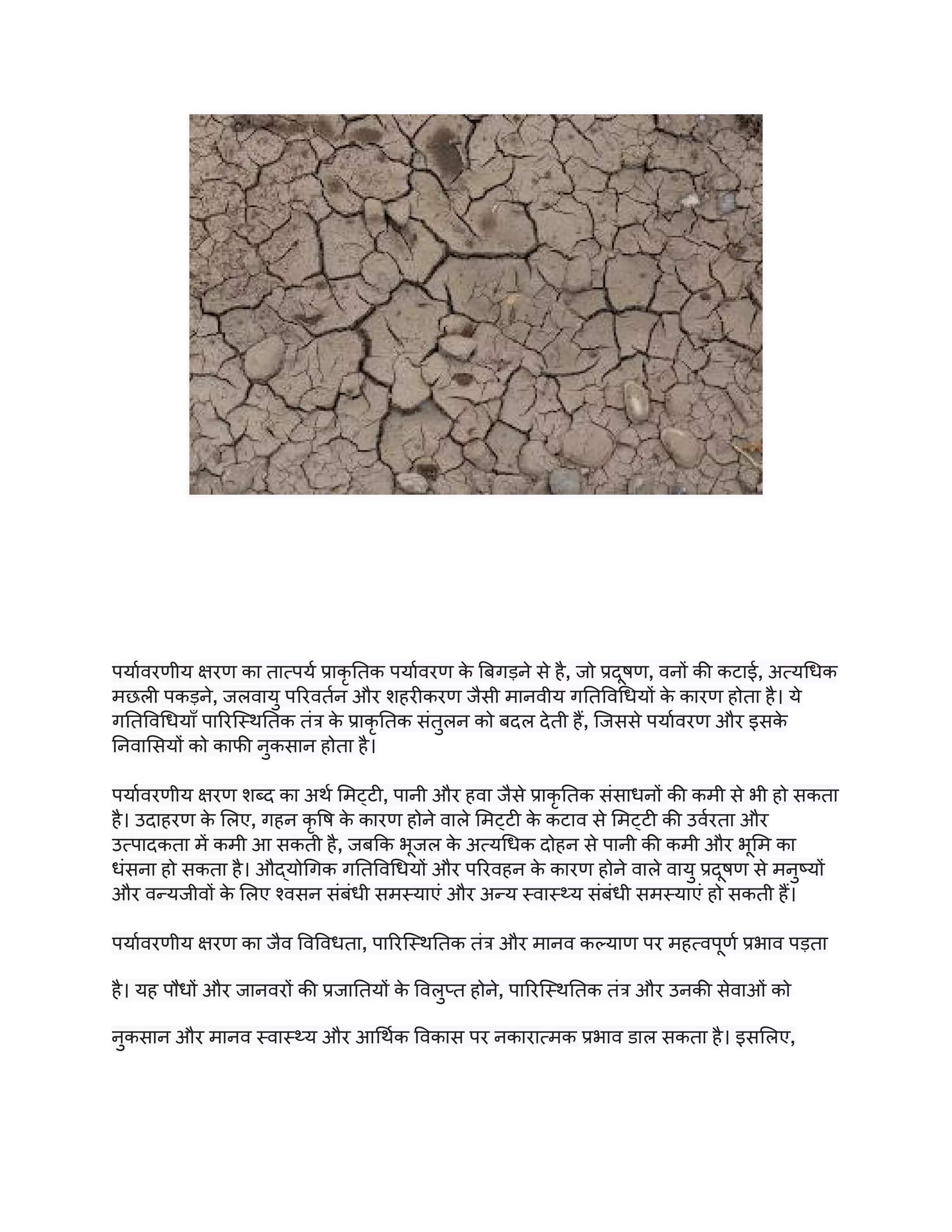 what-is-environmental-degradation-pdf