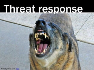 Photo by State Farm [link]
Threat response
 