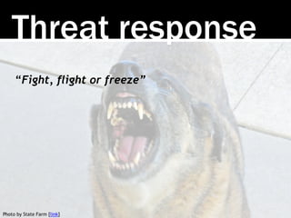 Threat response
“Fight, flight or freeze”
Photo by State Farm [link]
 