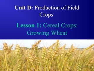 1
Unit D: Production of Field
Crops
Lesson 1: Cereal Crops:
Growing Wheat
 