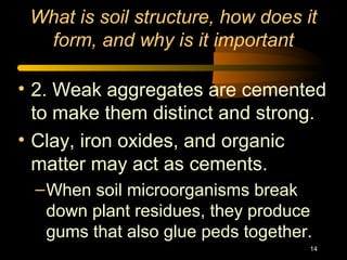 14
What is soil structure, how does it
form, and why is it important
• 2. Weak aggregates are cemented
to make them distinct and strong.
• Clay, iron oxides, and organic
matter may act as cements.
–When soil microorganisms break
down plant residues, they produce
gums that also glue peds together.
 