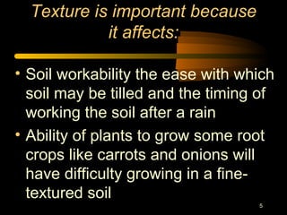 5
Texture is important because
it affects:
• Soil workability the ease with which
soil may be tilled and the timing of
working the soil after a rain
• Ability of plants to grow some root
crops like carrots and onions will
have difficulty growing in a fine-
textured soil
 