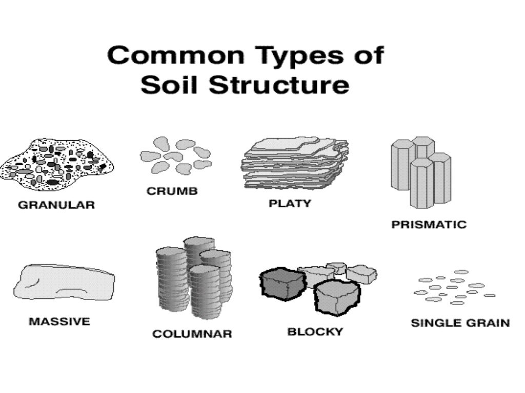 soil-texture-and-structure