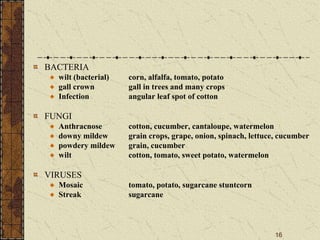 16
BACTERIA
wilt (bacterial) corn, alfalfa, tomato, potato
gall crown gall in trees and many crops
Infection angular leaf spot of cotton
FUNGI
Anthracnose cotton, cucumber, cantaloupe, watermelon
downy mildew grain crops, grape, onion, spinach, lettuce, cucumber
powdery mildew grain, cucumber
wilt cotton, tomato, sweet potato, watermelon
VIRUSES
Mosaic tomato, potato, sugarcane stuntcorn
Streak sugarcane
 