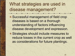 29
What strategies are used in
disease management?
Successful management of field crop
diseases is based on a thorough
understanding of factors influencing
disease development and expression.
Strategies should include measures to
reduce losses in the current crop as well
as considerations for future plantings.
 