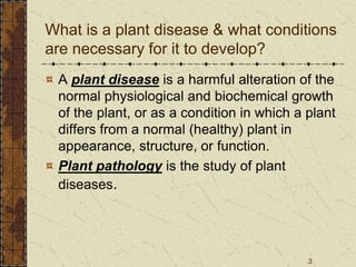 3
What is a plant disease & what conditions
are necessary for it to develop?
A plant disease is a harmful alteration of the
normal physiological and biochemical growth
of the plant, or as a condition in which a plant
differs from a normal (healthy) plant in
appearance, structure, or function.
Plant pathology is the study of plant
diseases.
 