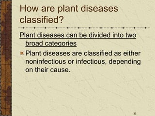 6
How are plant diseases
classified?
Plant diseases can be divided into two
broad categories
Plant diseases are classified as either
noninfectious or infectious, depending
on their cause.
 