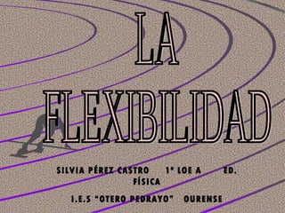LA FLEXIBILIDAD SILVIA PÉREZ CASTRO  1º LOE A  ED. FÍSICA I.E.S “OTERO PEDRAYO”  OURENSE 